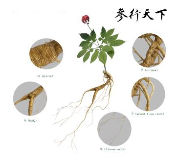 1676695709191797.png 图片11.png